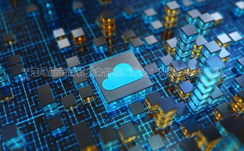 EON4文心一言**亚马逊云计算业务的幕后推力：利润丰厚的市场
**