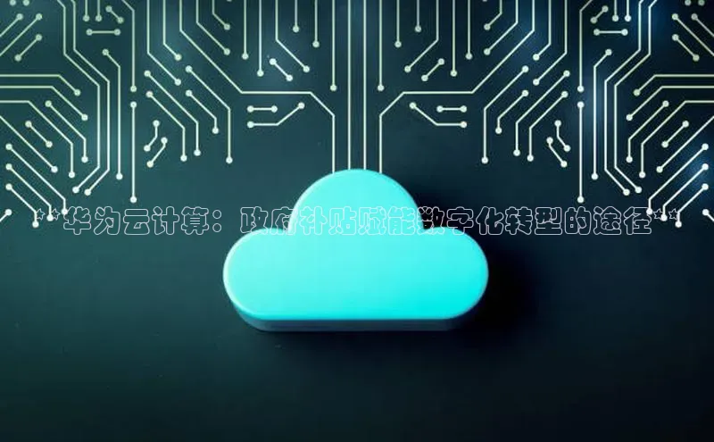 EON4代理滴滴出行**华为云计算：政府补贴赋能数字化转型的途径**
