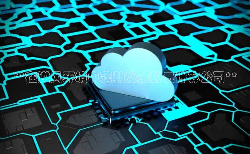 意昂4登录小度商城**在逆风环境中蓬勃发展的云计算公司**